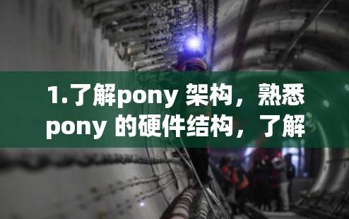 1.了解pony 架构，熟悉pony 的硬件结构，了解其主要接口