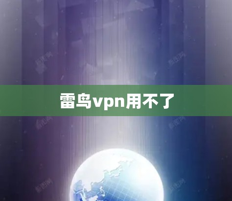 雷鸟vpn用不了