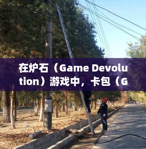 在炉石(Game Devolution)游戏中,卡包(Game Package)和VPN(Virtual Network)是两个重要的系统功能,它们各自有不同的作用和用途