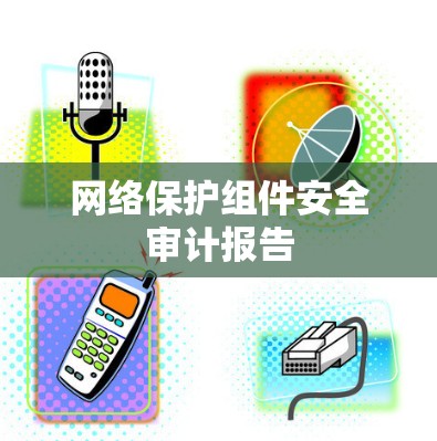 网络保护组件安全审计报告