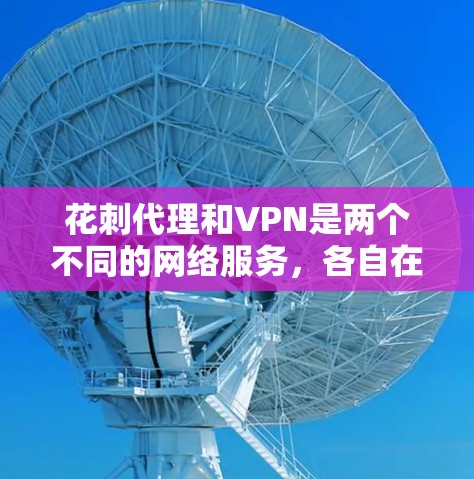 花刺代理和VPN是两个不同的网络服务，各自在功能和使用场景上有显著差异。以下是它们的区别分析