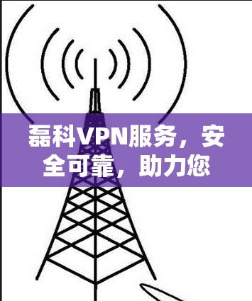 磊科VPN服务，安全可靠，助力您的通信需求