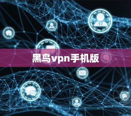 黑鸟vpn手机版