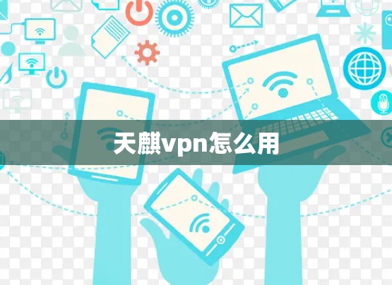 天麒vpn怎么用