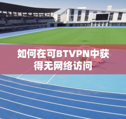 如何在可BTVPN中获得无网络访问