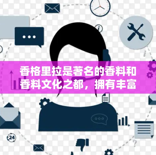 香格里拉是著名的香料和香料文化之都，拥有丰富的历史和自然景观。香格里拉酒店作为香料文化的象征，通常会提供一些VPN服务来支持酒店的活动和文化体验