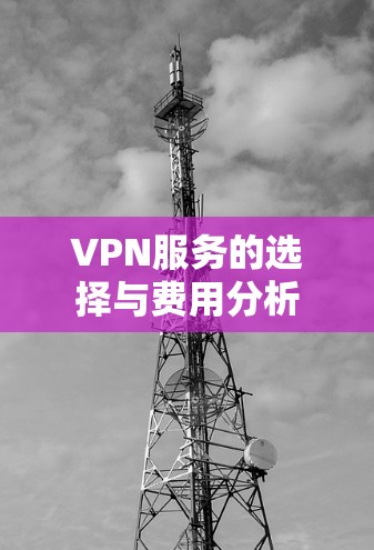VPN服务的选择与费用分析 VPN服务的选择与费用分析