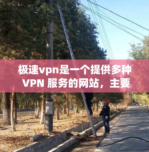 极速vpn是一个提供多种 VPN 服务的网站，主要包括VPN、端点拒绝攻击（DDoS）防护、视频会议、文件传输等服务。如果你想下载极速vpn，以下是逐步的安装和使用指南