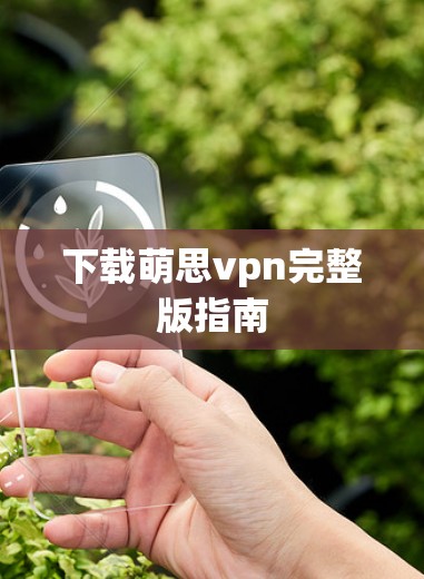 下载萌思vpn完整版指南