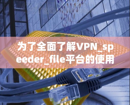 为了全面了解VPN_speeder_file平台的使用情况，以下是一个结构化的总结，涵盖各个关键方面