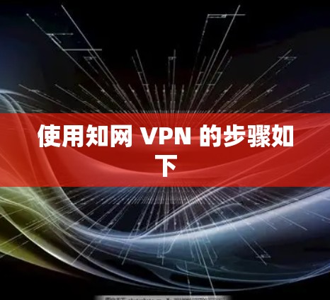 使用知网 VPN 的步骤如下