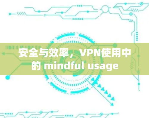 安全与效率，VPN使用中的 mindful usage