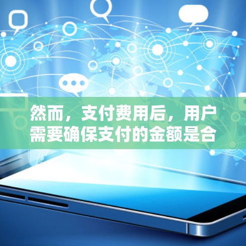 然而，支付费用后，用户需要确保支付的金额是合法的，并且支付方式符合当地VPN服务提供商的支付政策。此外，用户还必须遵守当地VPN服务提供商的使用条款，包括网络连接、流量限制、数据使用限制等