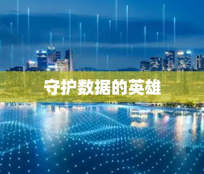 守护数据的英雄 守护数据的英雄