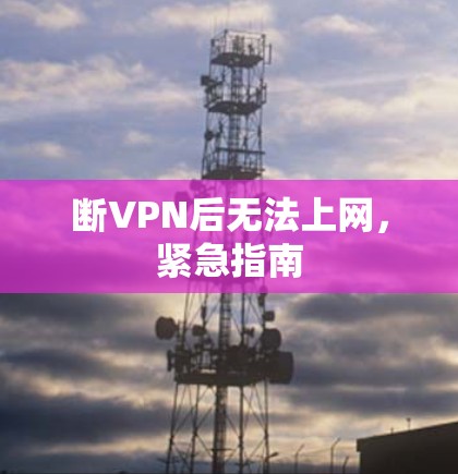 断VPN后无法上网，紧急指南