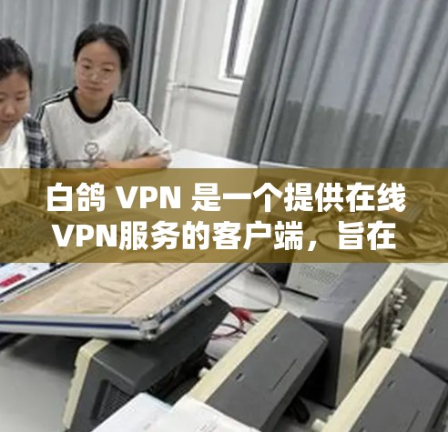 白鸽 VPN 是一个提供在线VPN服务的客户端，旨在提供安全、便捷的访问体验。以下是关于白鸽 VPN 的关键信息