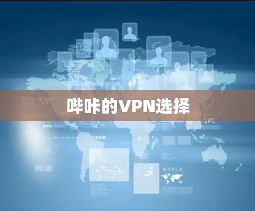 哔咔的VPN选择