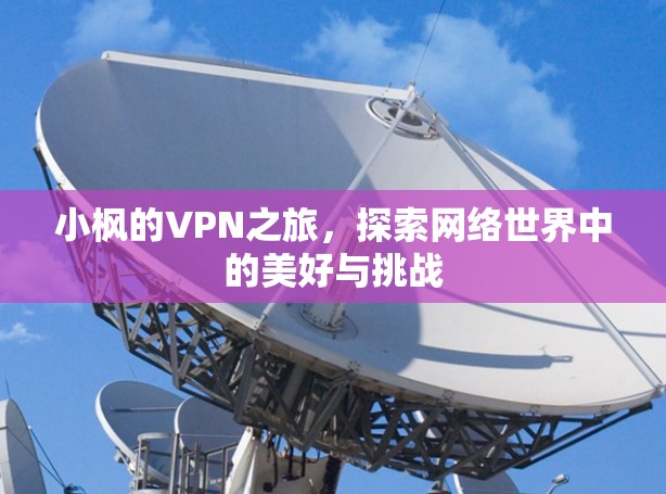 小枫的VPN之旅，探索网络世界中的美好与挑战