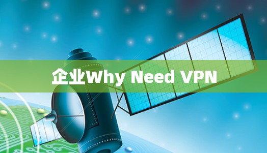企业Why Need VPN 企业Why Need VPN