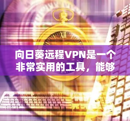 向日葵远程VPN是一个非常实用的工具，能够帮助你更安全地管理数据和应用。以下是对向日葵远程VPN的详细总结和建议