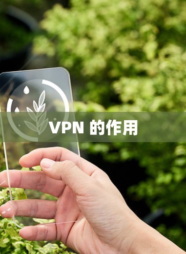 VPN 的作用