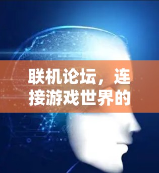 联机论坛，连接游戏世界的必选之路