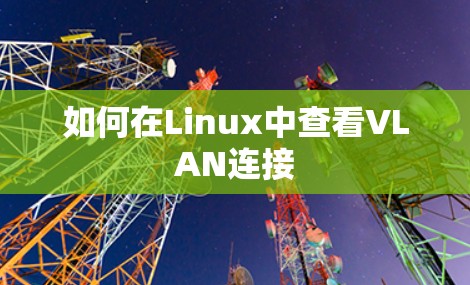 如何在Linux中查看VLAN连接