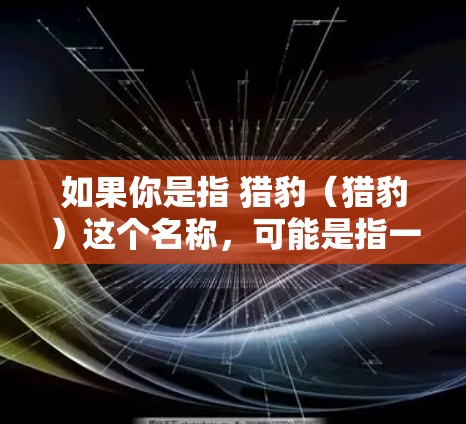如果你是指 猎豹（猎豹）这个名称，可能是指一个不同的产品或工具。如果你指的是 猎豹浏览器，以下是一些建议和注意事项