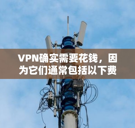 VPN确实需要花钱，因为它们通常包括以下费用