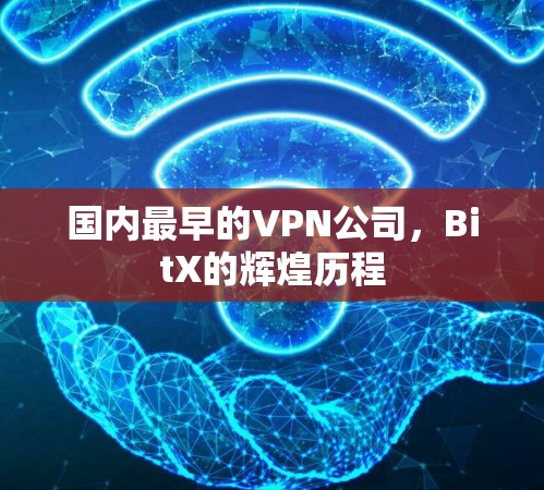 国内最早的VPN公司，BitX的辉煌历程