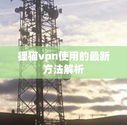 狸猫vpn使用的最新方法解析