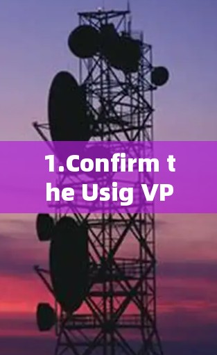 1.Confirm the Usig VPN Interface 1.Confirm the Usig VPN Interface