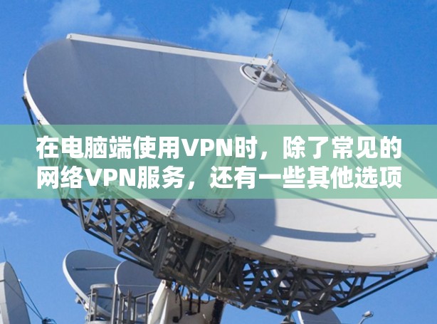 在电脑端使用VPN时，除了常见的网络VPN服务，还有一些其他选项可以帮助你更有效地保护隐私或访问网络资源。以下是一些常见的VPN端口或选项
