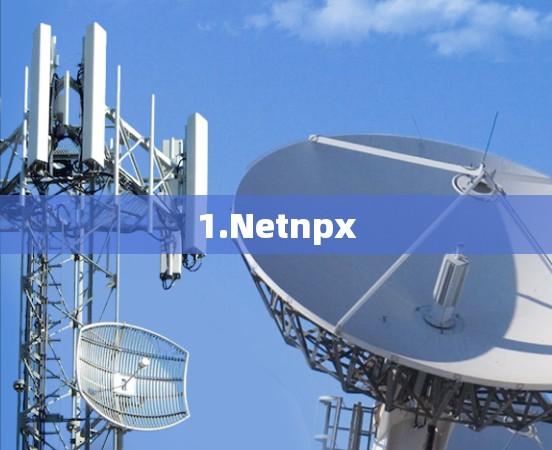 1.Netnpx