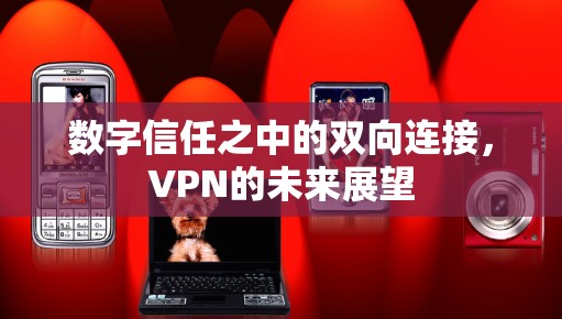 数字信任之中的双向连接,VPN的未来展望 数字信任之中的双向连接,VPN的未来展望