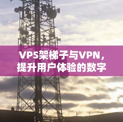 VPS架梯子与VPN，提升用户体验的数字连接方式
