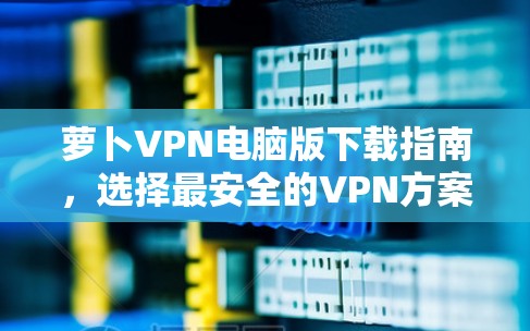 萝卜VPN电脑版下载指南，选择最安全的VPN方案