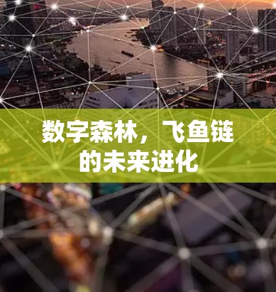 数字森林，飞鱼链的未来进化