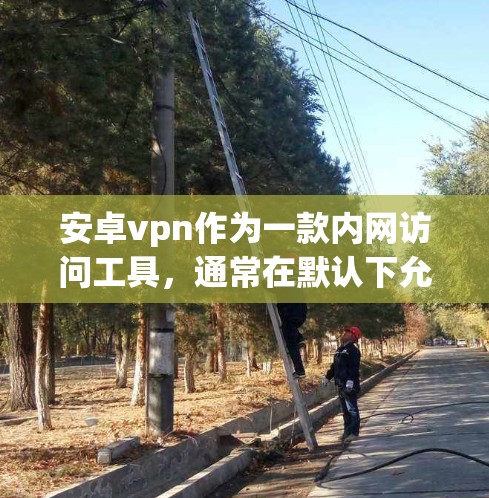 安卓vpn作为一款内网访问工具，通常在默认下允许用户访问内网网站，如抖音、微信等。然而，用户在使用时需注意以下几点