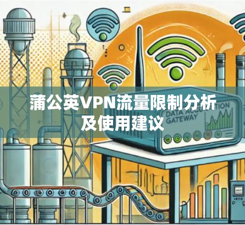 蒲公英VPN流量限制分析及使用建议