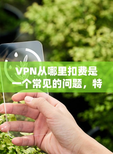 VPN从哪里扣费是一个常见的问题，特别是对于那些经常使用VPN服务的人来说。以下是关于VPN扣费的一些关键信息