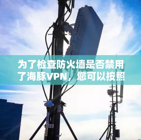 为了检查防火墙是否禁用了海豚VPN，您可以按照以下步骤进行