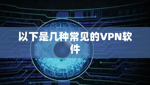 以下是几种常见的VPN软件