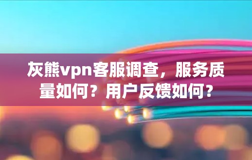 灰熊vpn客服调查，服务质量如何？用户反馈如何？