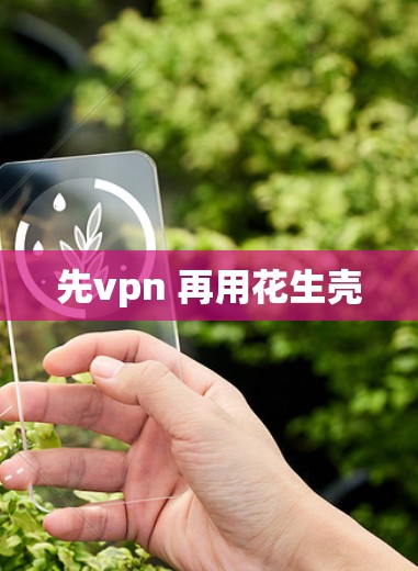 先vpn 再用花生壳