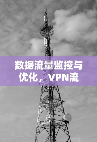 数据流量监控与优化，VPN流量计算的挑战与解决方案