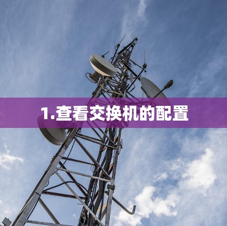 1.查看交换机的配置 1.查看交换机的配置