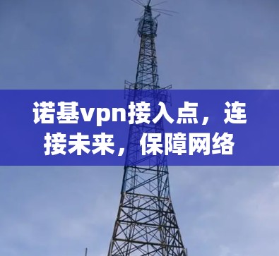诺基vpn接入点，连接未来，保障网络高质量服务