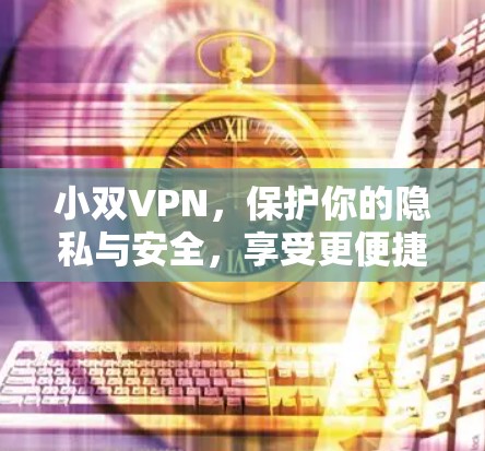 小双VPN，保护你的隐私与安全，享受更便捷的网络体验
