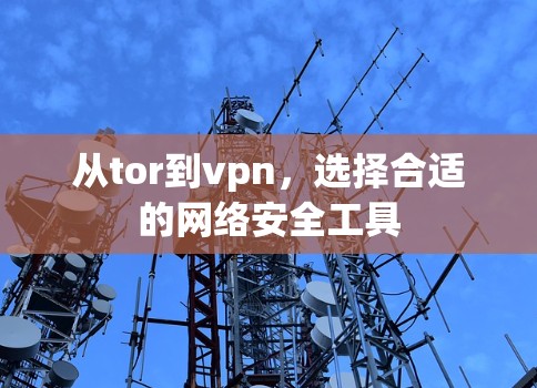 从tor到vpn，选择合适的网络安全工具
